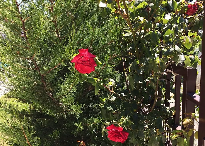 хоризонт Апартамент